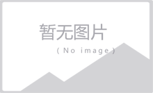 空間數(shù)據(jù)服務(wù)發(fā)布產(chǎn)品（AtlasServer）